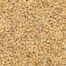 Organic Peeled Barley